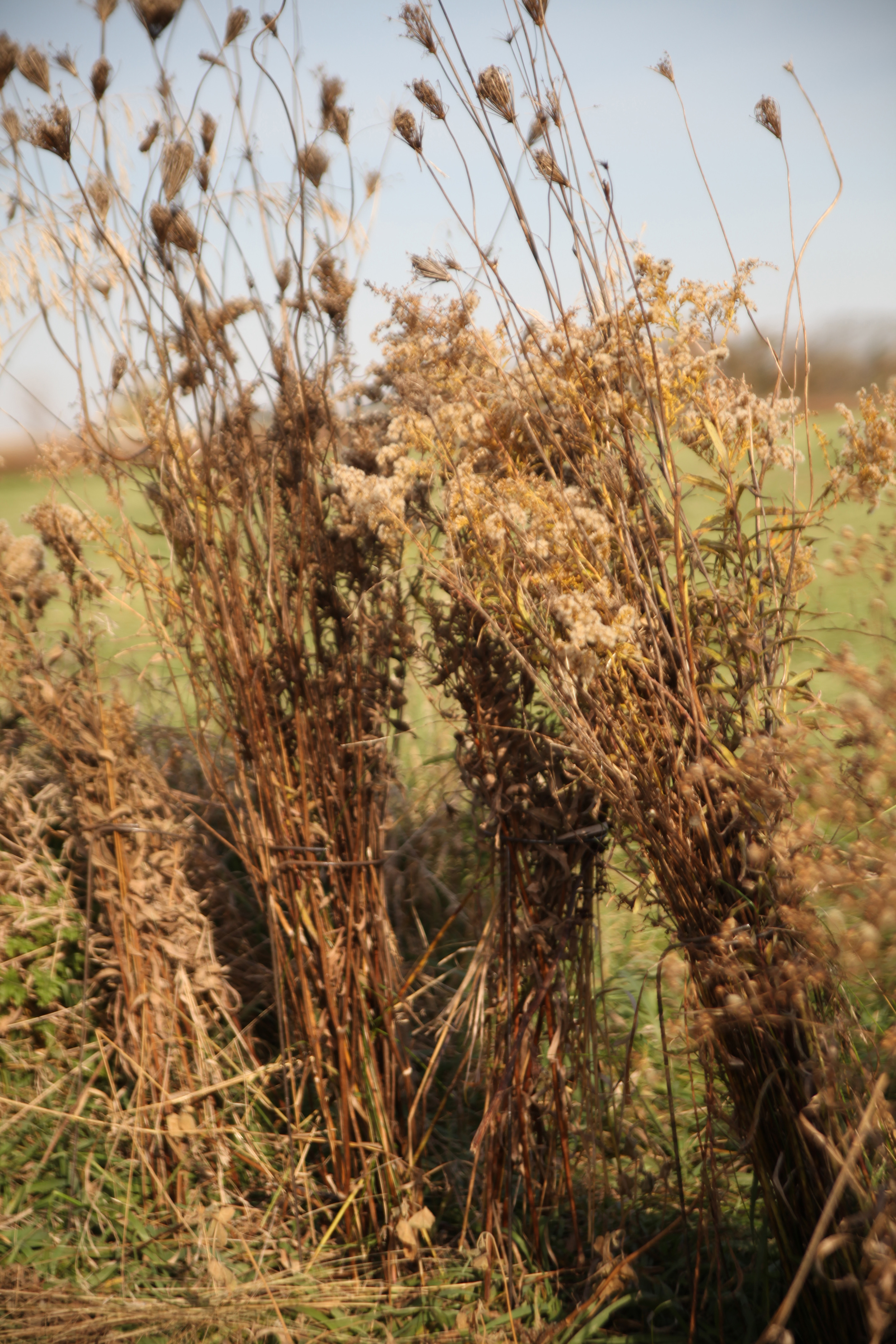 Wire Form Grass & Brush Holders (10pk) — In Ground Blinds, LLC